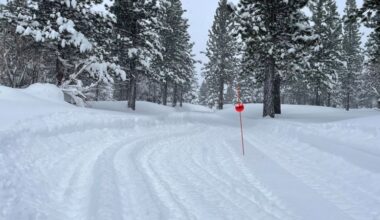California avalanche: Treacherous conditions stall the recovery of ski group’s bodies near Lake Tahoe