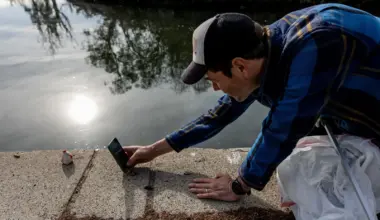 6 Oakland events from February 11 to the 15