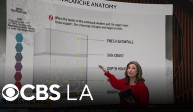 Avalanche anatomy with CBS LA Meteorologist Marina Jurica