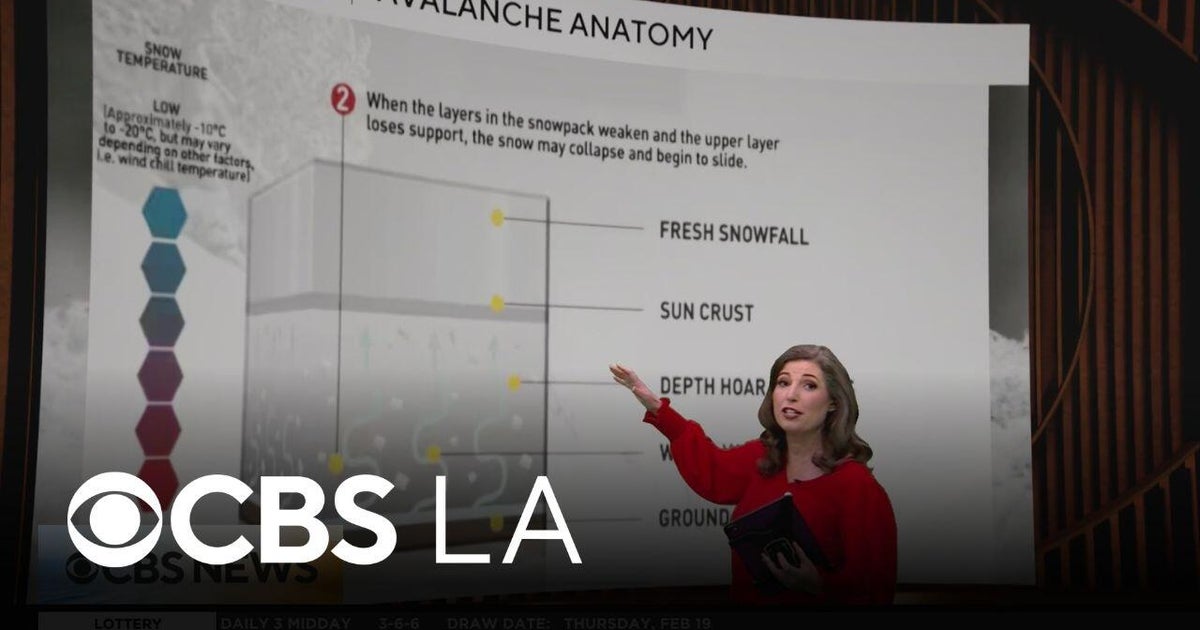 Avalanche anatomy with CBS LA Meteorologist Marina Jurica