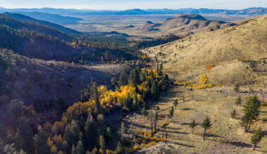 The WélmeltiɁ Preserve in a provided photo. (Elizabeth Carmel, via Waší·šiw Land Trust)