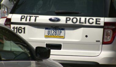 Pittsburgh Police search for hammer assault suspect