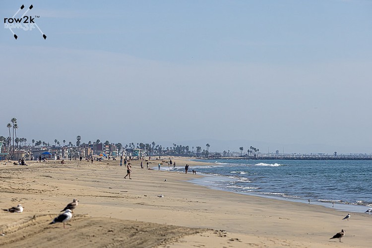 Looking south from Belmont Veteran Memorial Pier to Rosie's Dog Beach