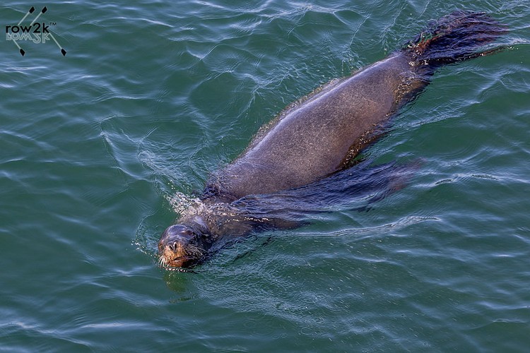 Rowing Stories, Features & Interviews | Beach Sprints 2028: A Look at the 2028 Olympics Venue in Feb 2026