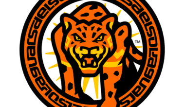 Soccer Recap: Del Sol Victorious