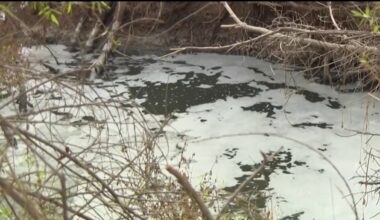 Federal officials discuss ongoing border sewage crisis – NBC 7 San Diego