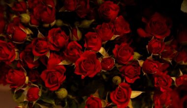 Yahoo lifestyle home