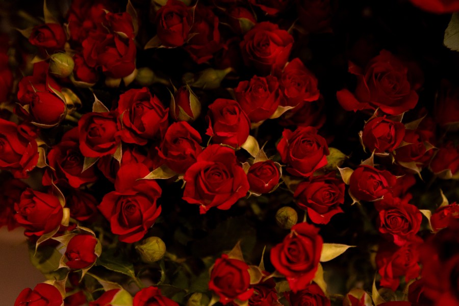 Yahoo lifestyle home