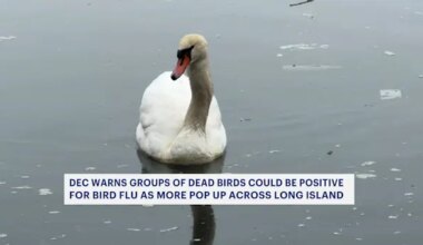 News 12 | Long Island