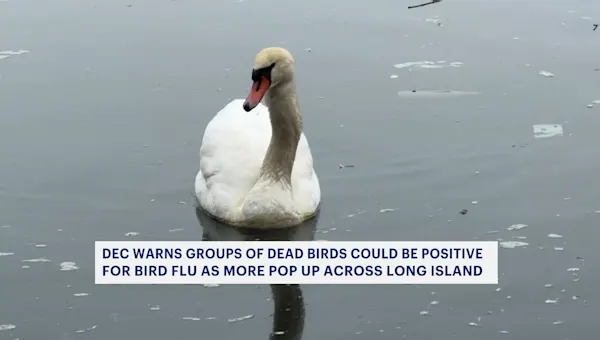 News 12 | Long Island