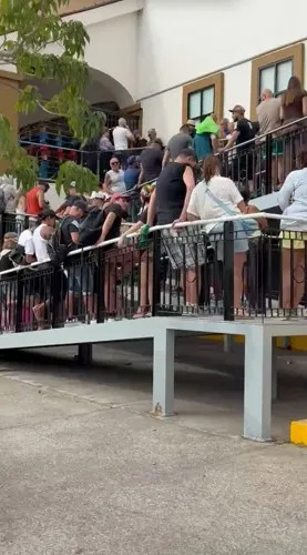 (IMAGE: Kitty Sinatro)