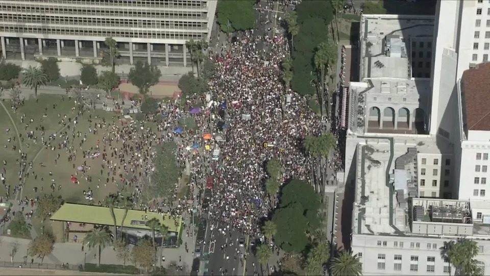 ICE Out rally in downtown Los Angeles