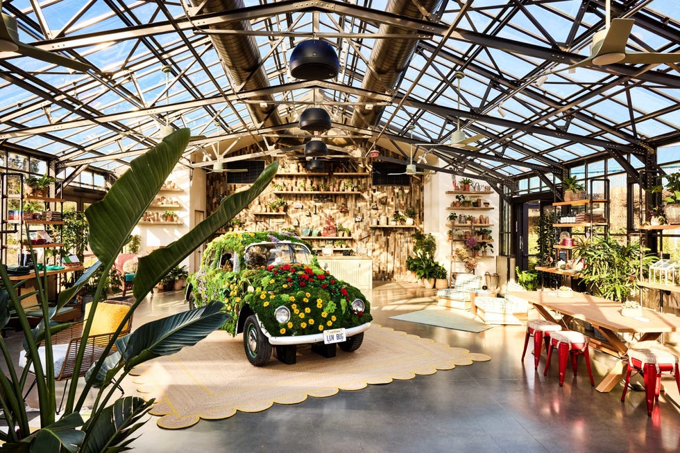 A vibrant indoor space filled with plants and a flower-covered car.