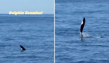 Yahoo lifestyle home