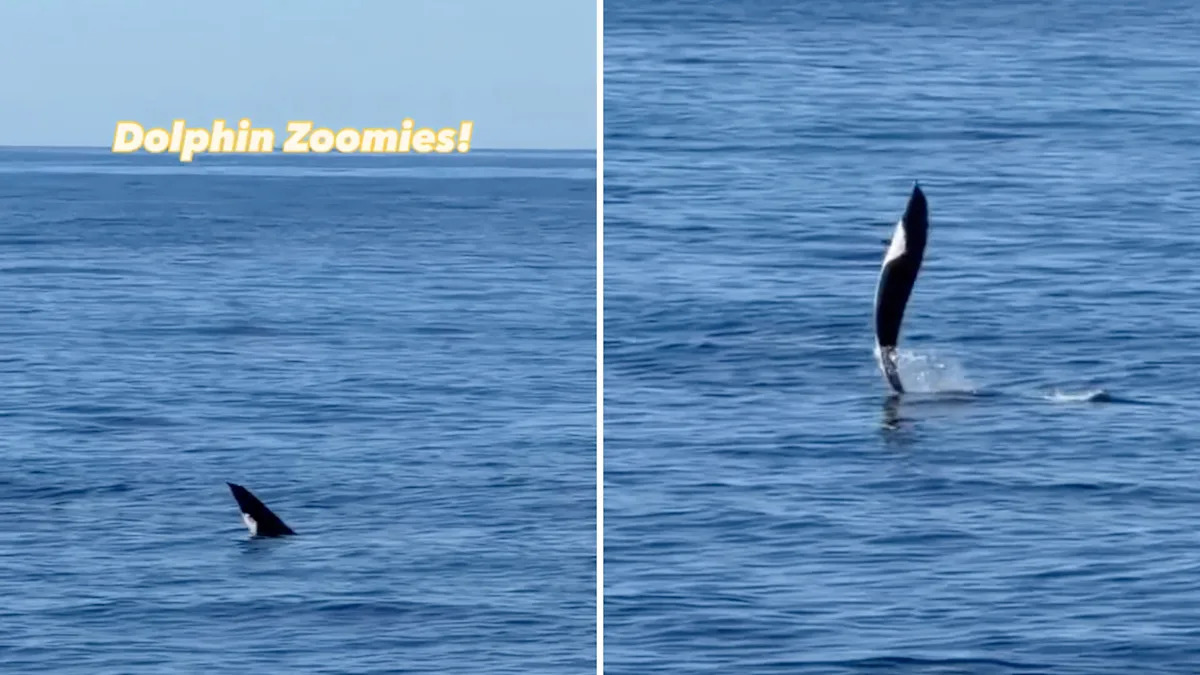 Yahoo lifestyle home