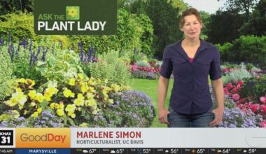 Marlene The Plant Lady is Here!