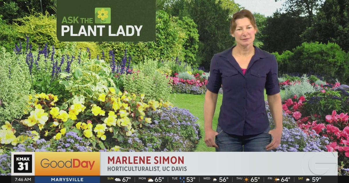 Marlene The Plant Lady is Here!