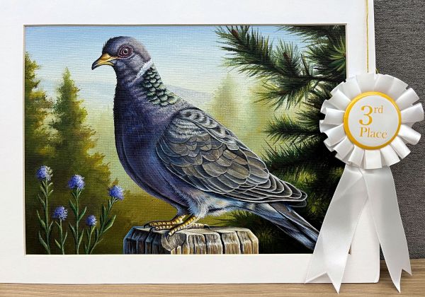 Painting of pigeon with pine trees - click to enlarge in new tab