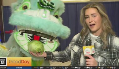 Enjoy some gaming, good eating and feed a dragon lettuce at Sky River!