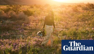 Death Valley erupts in wildflowers in sign of developing superbloom | California