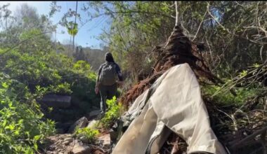 Some good news from the annual San Diego homeless point-in-time count – NBC 7 San Diego