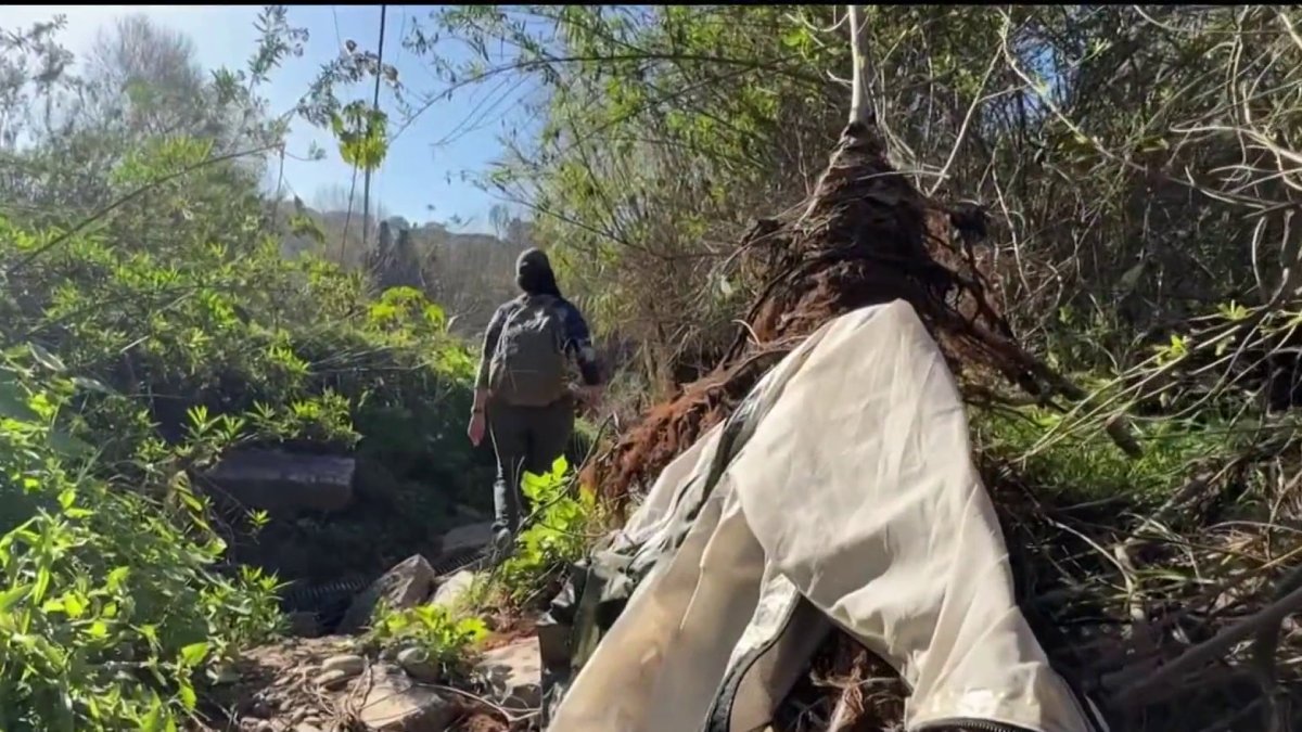 Some good news from the annual San Diego homeless point-in-time count – NBC 7 San Diego