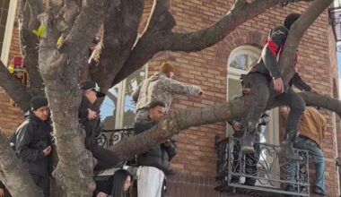 SF Marina residents voice complaints about crowd conduct during Red Bull Showrun