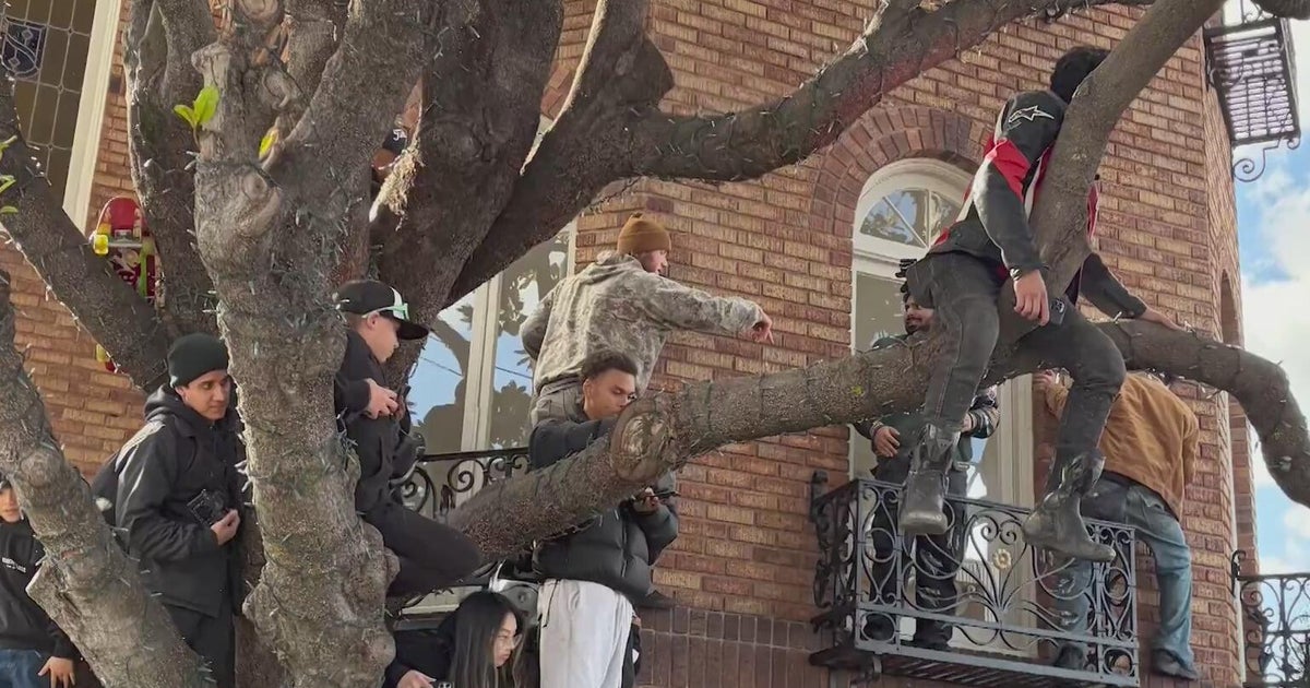 SF Marina residents voice complaints about crowd conduct during Red Bull Showrun