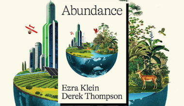 Is the tide finally turning on the 'abundance agenda?'