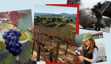 A drinkable journey through California’s wine country – from Napa Valley to Temecula | A Golden State Of Mind