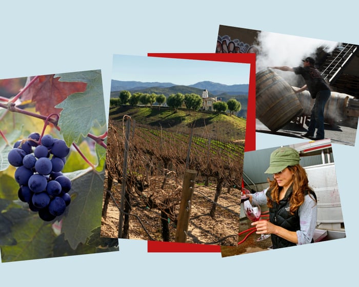 A drinkable journey through California’s wine country – from Napa Valley to Temecula | A Golden State Of Mind