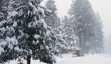 Rescuers race to save 6 skiers found alive after avalanche, 9 still missing in Northern California
