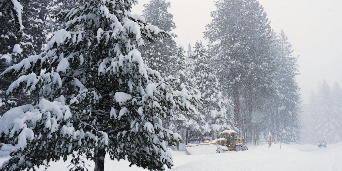 Rescuers race to save 6 skiers found alive after avalanche, 9 still missing in Northern California