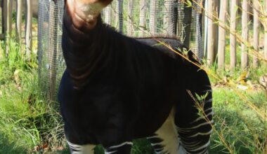 Yahoo lifestyle home