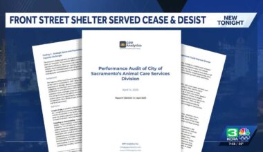 Sacramento animal shelter accused of illegal practices