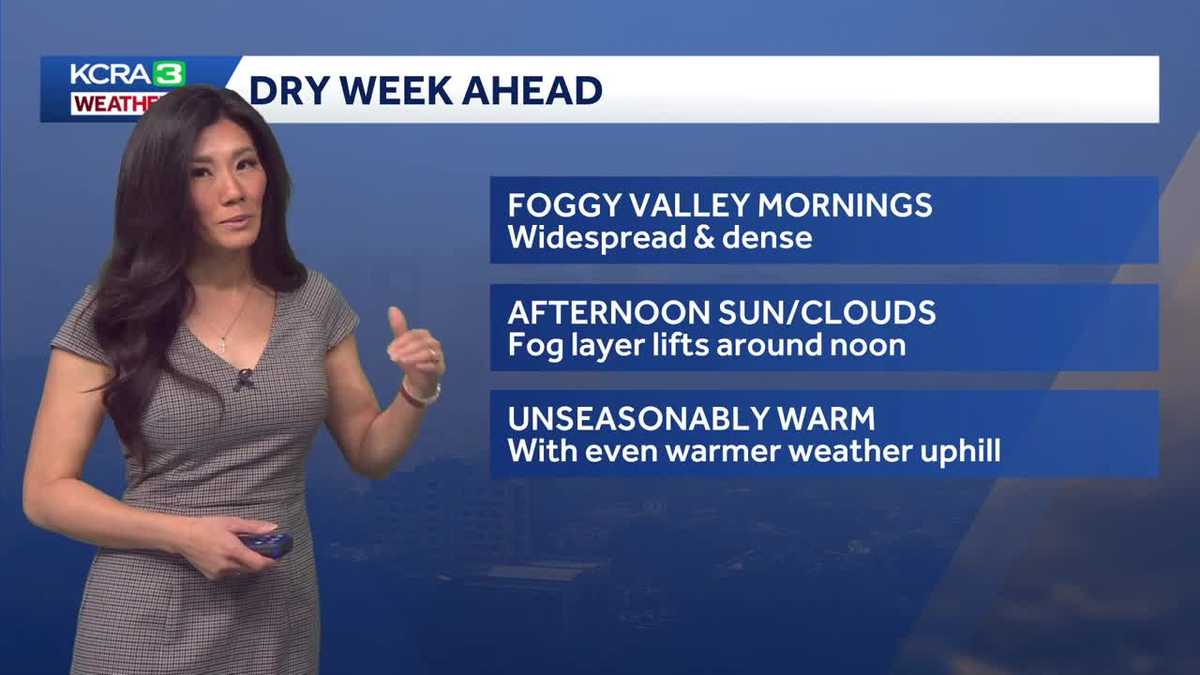 Dry days ahead with foggy mornings, sunny afternoons