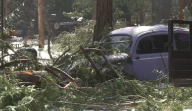 Amador County community comes together after winter storm downs trees, damages homes