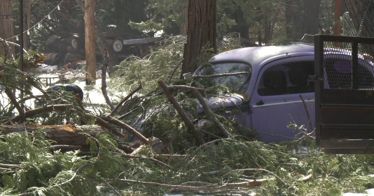 Amador County community comes together after winter storm downs trees, damages homes