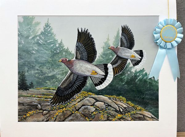 Painting of dove on cactus with dove in flight in background - click to enlarge in new tab