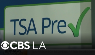 Air travel in disarray as partial government shutdown continues