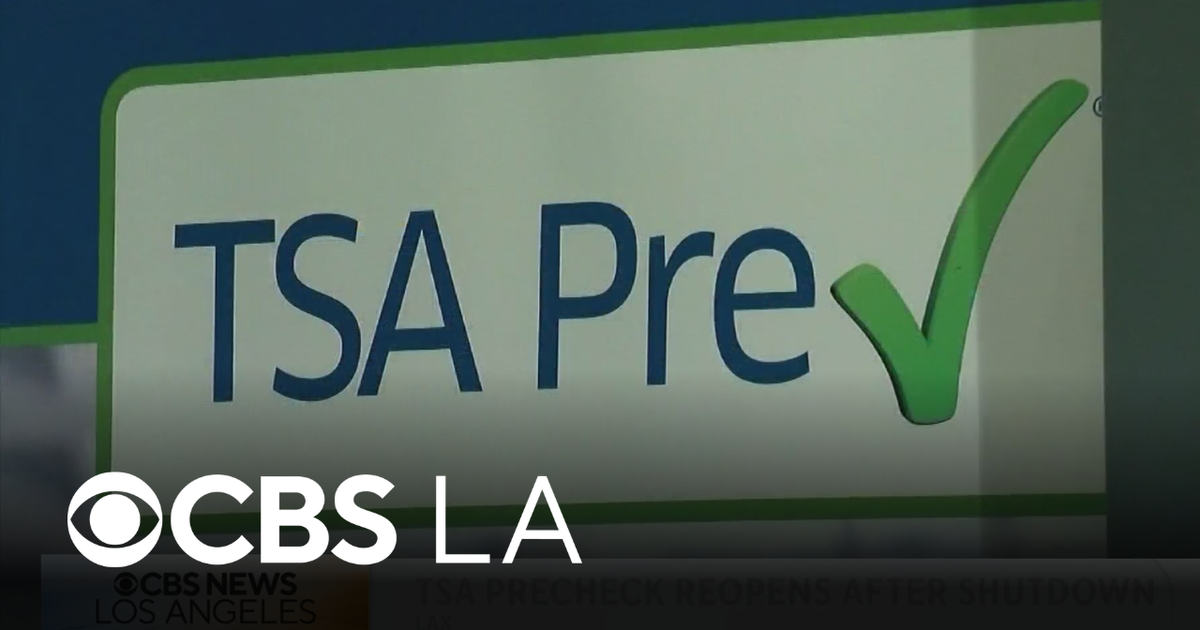 Air travel in disarray as partial government shutdown continues