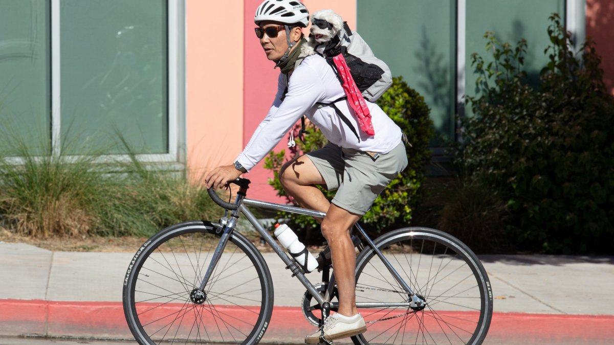 See you soon, West LA – NBC Los Angeles