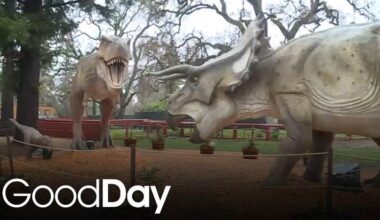 The Sacramento Zoo Announces Dinosaur Safari!