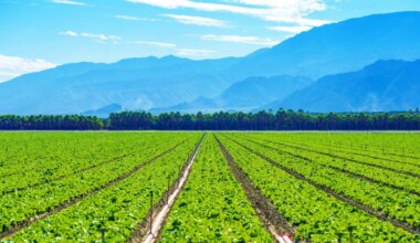 State Senate Bill aims to boost farmworker pay and support agricultural employers