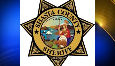 Body of man who went missing after running into the Sacramento River during pursuit found, identified | News