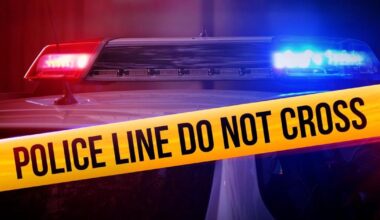 Man drives car into pedestrians at grocery store in California mountain town, injuring 4 | News