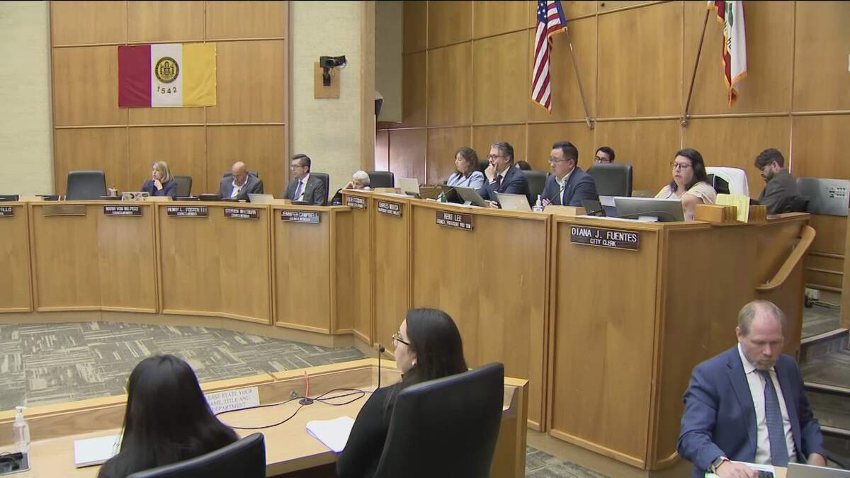 City Council Passes Resolution Opposing ‘Excessive' ICE Tactics