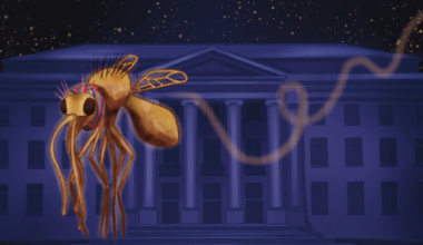 Lessons from a bug and inside a jail cell | Op-Eds