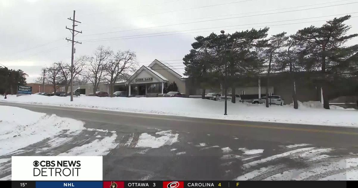 Children were left without adult supervision when one drowned, Oakland County sheriff says | National and World News