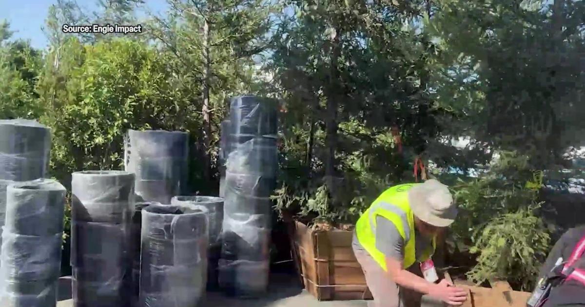 San Francisco Super Bowl preparations focus on sustainability | The Final Drive